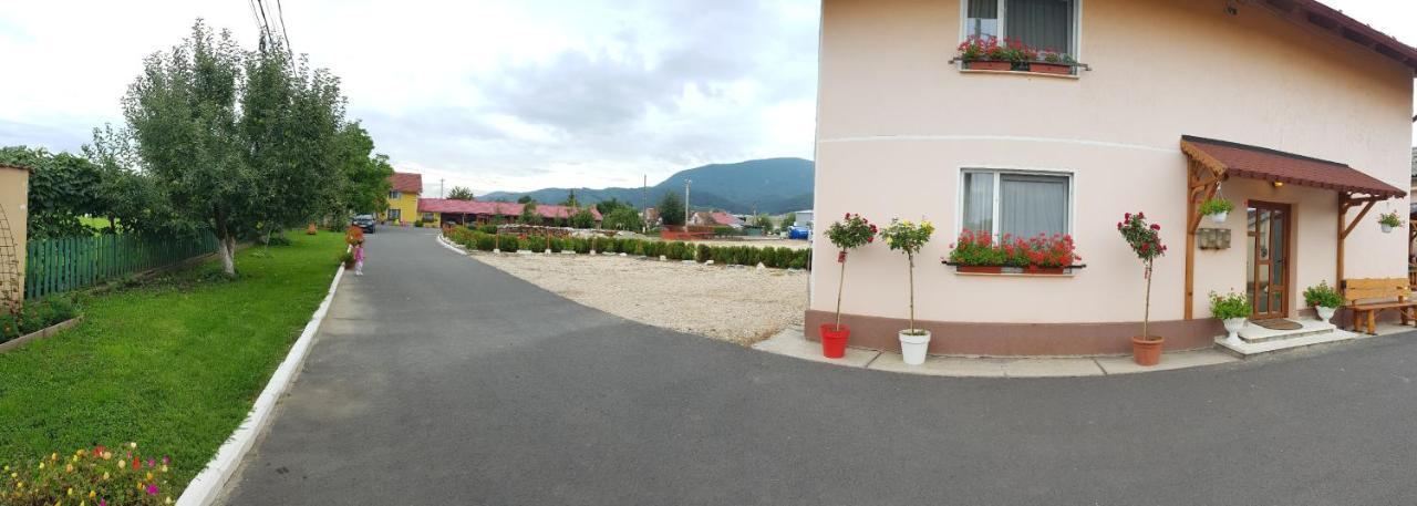 Hotel Cazare La Troita Codlea Exterior foto
